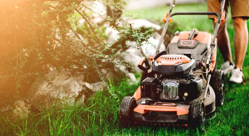 Kertész figyelmeztet: eddig a dátumig tilos füvet nyírni