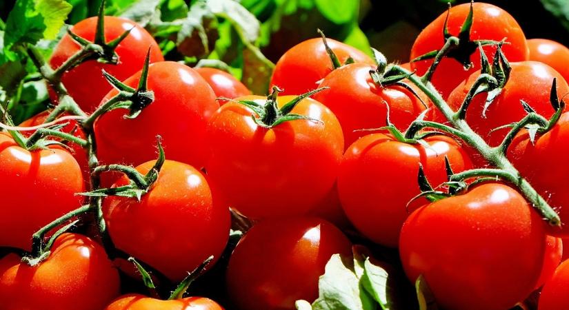 Bukik a profit a drága gázon: ezért torpant meg a lengyel üvegházi forradalom