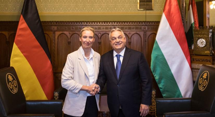 Egyenesen az AfD elnökségétől kapott figyelmeztetést Orbán Viktor: Brüsszel el akarja távolítani a miniszterelnököt