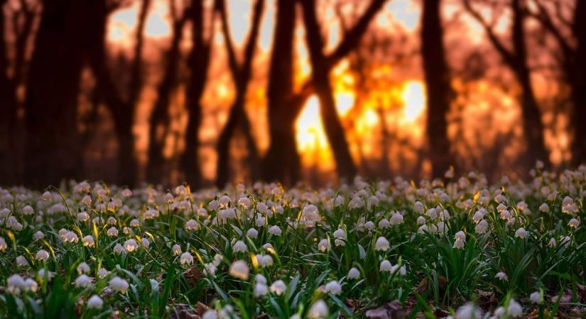 A sok napsütés után estefelé zápor, akár zivatar is előfordulhat