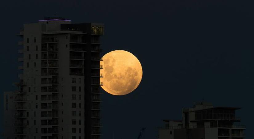 Telihold idején több a közlekedési baleset: ez az oka