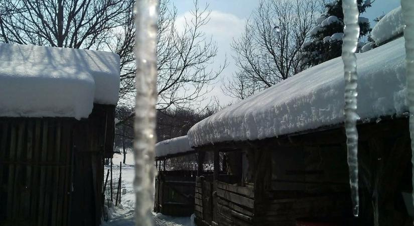 Rekordhideg a tavasz első napjaiban a Bakonyban, ezt a didergést hozta a fagy (képgaléria)