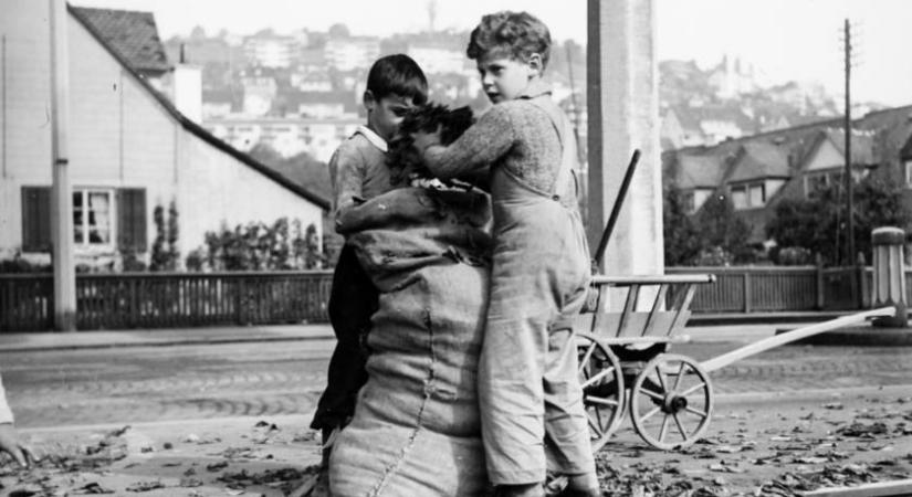 Gyerekmunka és bántalmazás gondoskodás helyett: az állami gondozottakat cserben hagyta a svájci rendszer