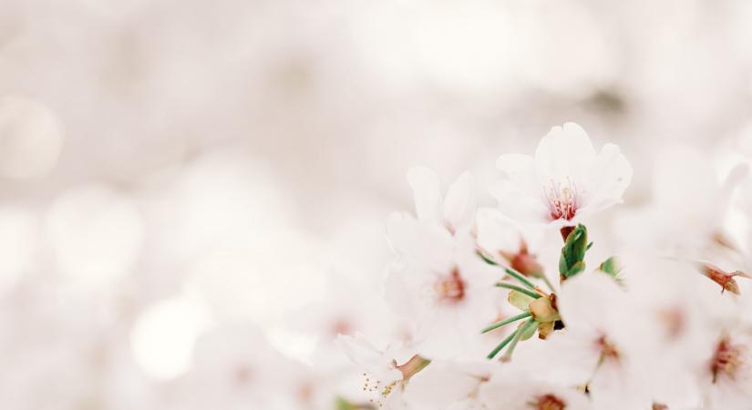 Napi horoszkóp – március 4., szerda