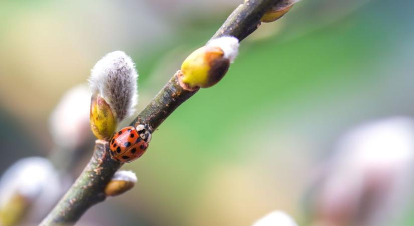Napfény vagy zápor? Így alakul a holnapi időjárás Dunaújvárosban