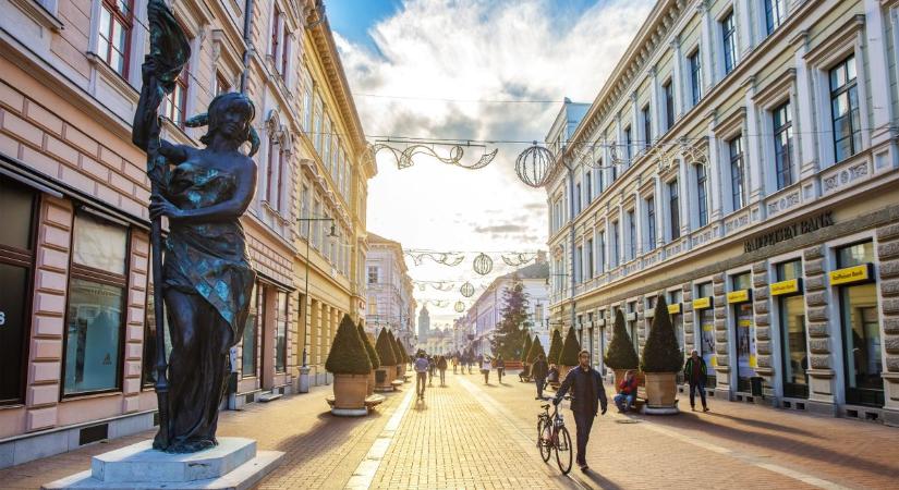 Versenyt futnak az idővel: szinte szemmel láthatóan nőnek a szegedi fák