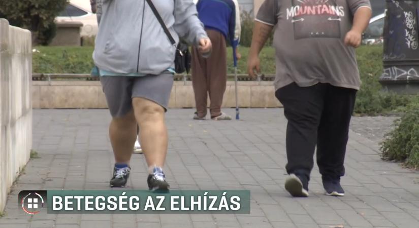 A magyarok több mint fele túlsúlyos – szakemberek szerint szemléletváltás kell