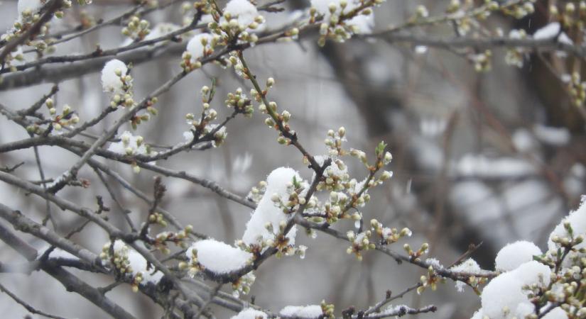 Megemelték a kárenyhítési alap keretét