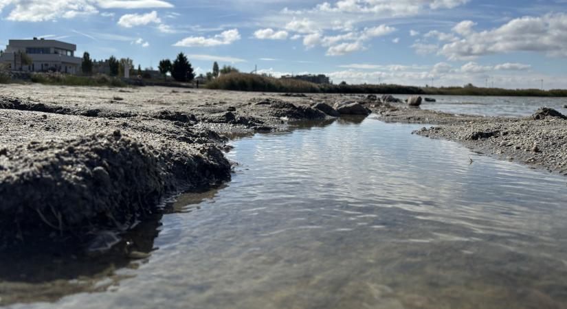 Döntések nincsenek, a Velencei-tó meg csak pusztul – Videóriport