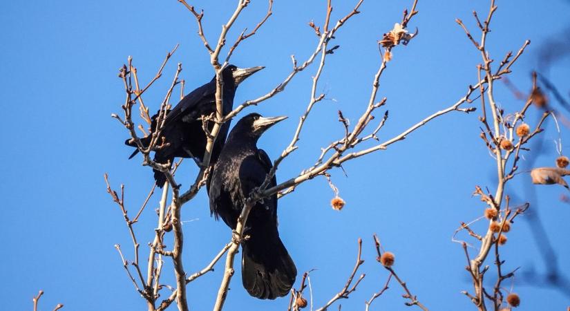 Fordulatos időjárást tartogat a szerda