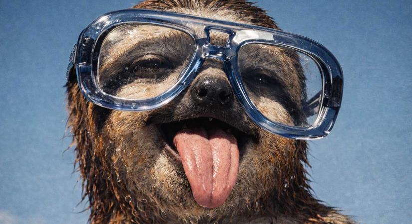 AI influenszer vagy automatizált tartalomgép? – A gyűjtő platformok valódi szerepe 2026-ban