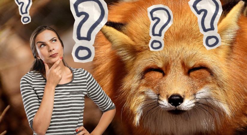 Ha igazán okos vagy, meglesz a 8 pont az élővilágkvízen! Te is a legjobb 3 százalékba tartozol?