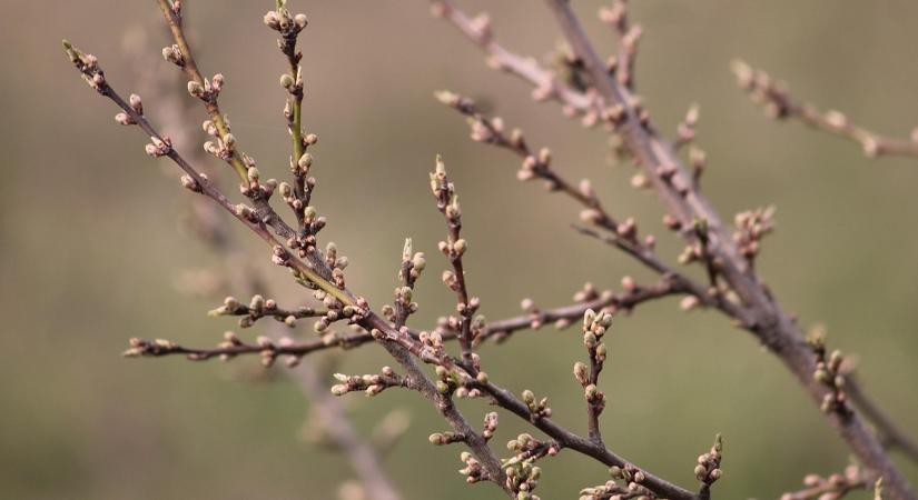 3 napos előrejelzés: Ne tévesszen meg a nappali meleg, csak mézesmadzag