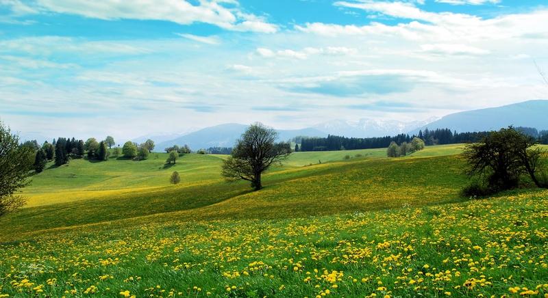 Kissé változékony, de az átlagosnál jóval enyhébb idő várható