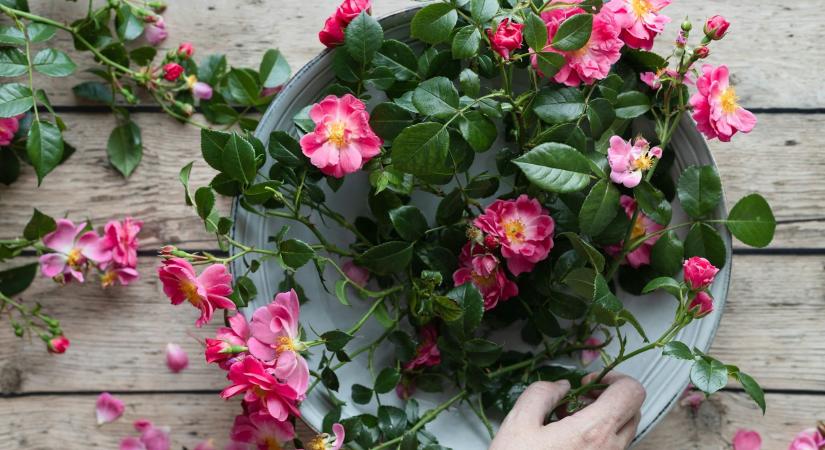 Ma, március 4.: Kázmér névnapja van – milyen személyiséget rejt a név?