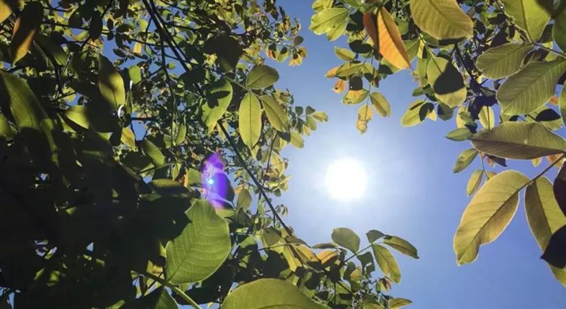 Jó hír: egész hétre kitart a tavaszias idő!