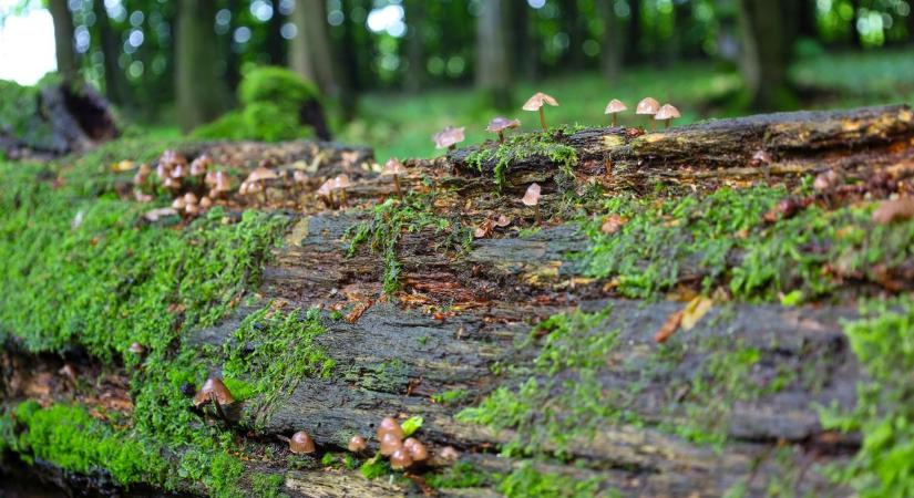 Kétarcú lesz az időjárás szerdán – erre készülj!
