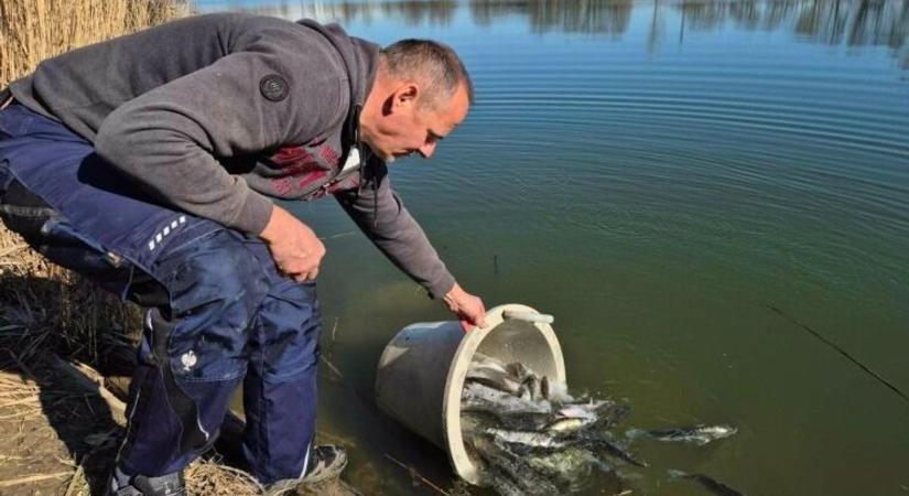 Megkezdődtek a 2026-os haltelepítések