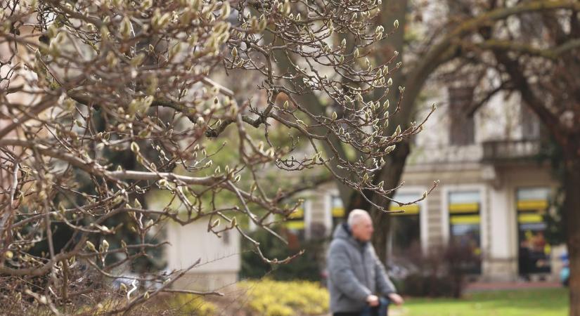Tavaszi napsütés érkezik – így töltheti fel szervezetét természetes módon
