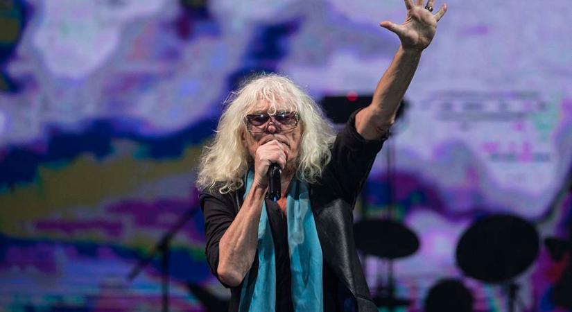 Feléleszti az Omegát a Kóbor lány