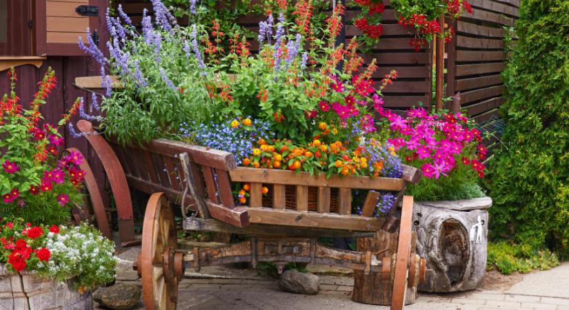 7 virág, amit márciusban ültess ki, ha évekig gyönyörködnél bennük