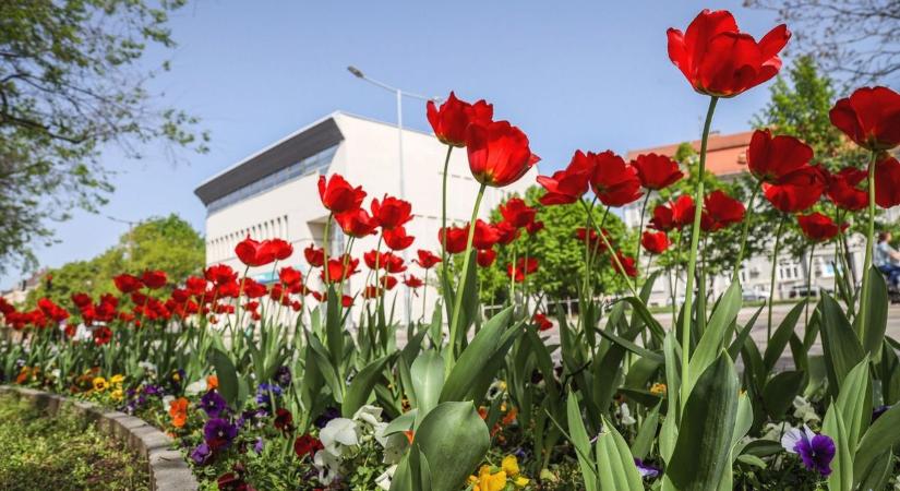 Tényleg tavaszodunk – igaz, most már a felhők is megjelennek