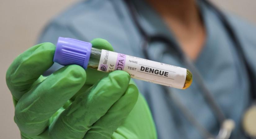 Magas láz, fájdalom, vérzés – ritka vírus bukkant fel Fejérben, ezt lehet tudni!