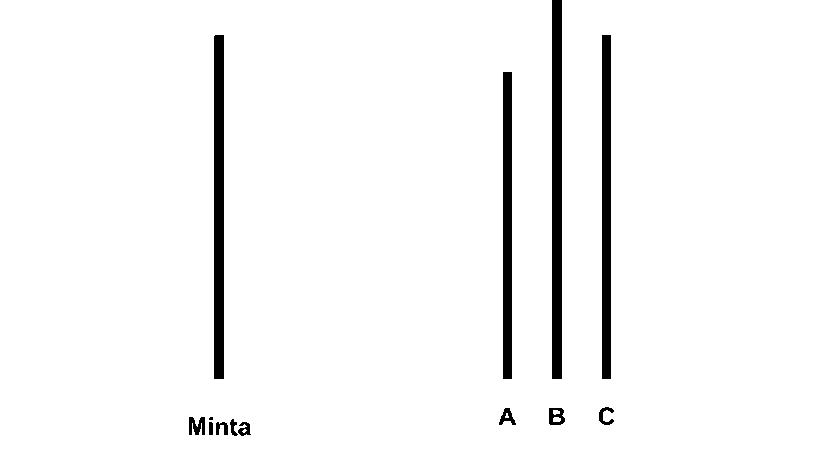 A csoport nem mindig okos, csak hangos