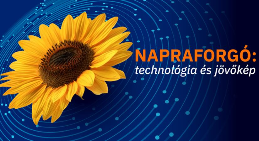 Napraforgó: technológia és jövőkép - Agroinform online konferencia