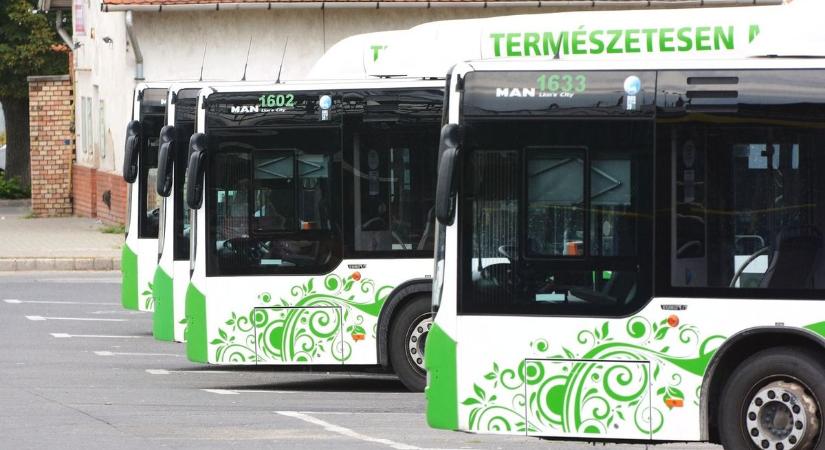 Ásványkincsek hétvégéje jön – így közlekedik a 20-as busz az esemény miatt