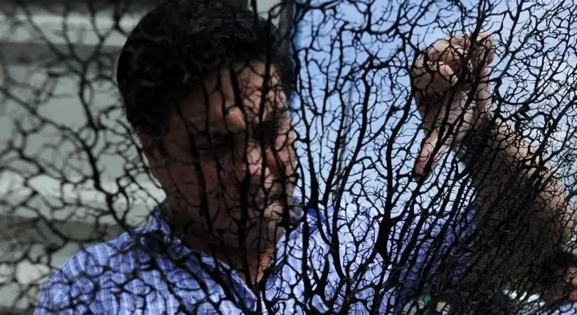 Egy 400 éves korall még a tengerbiológusokat is megdöbbentette