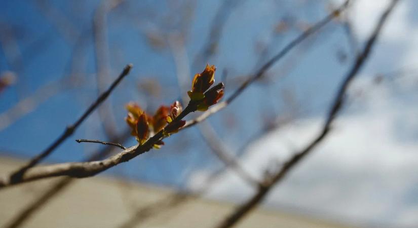 Így változik a tavaszi óraátállítás tavalyhoz képest