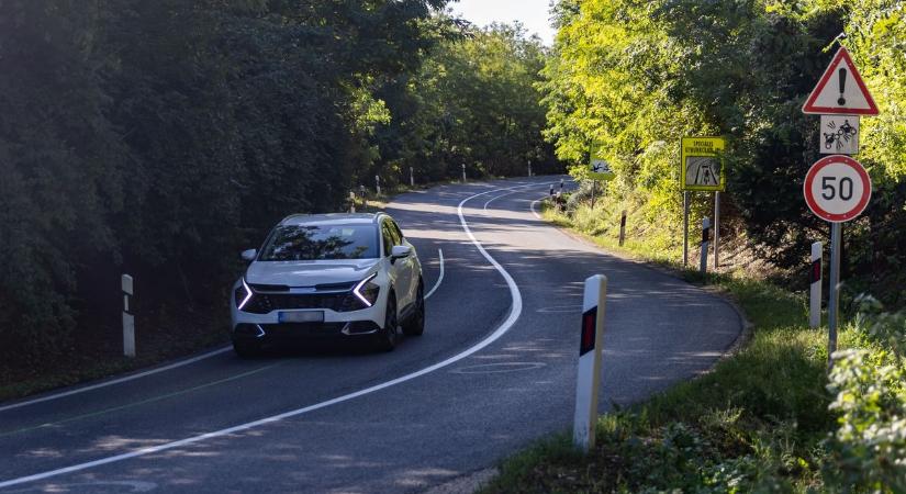Ha valaha is utáltad a békákat, ideje megérteni, miért van szükség rájuk!  GALÉRIA