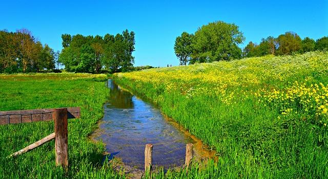 AKG vetőmagok és keverékek: fajösszetétel, vetésidő, dokumentációs buktatók