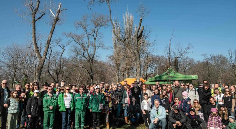 Kétszázezer fát ültettek a Nemzeti Faültetés Napján