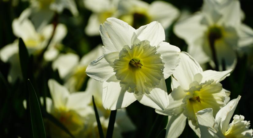 Időjárás: a fél országra riasztást adtak ki