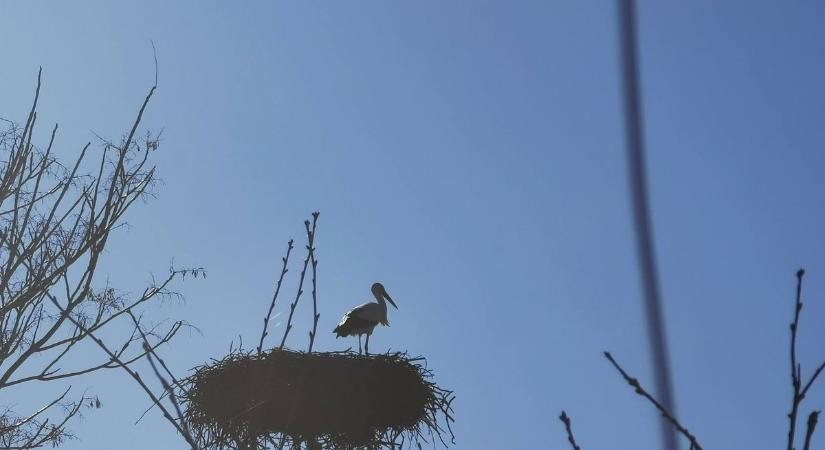 Érkezik a tavasz: elképesztő természeti fotók az ország minden részéről