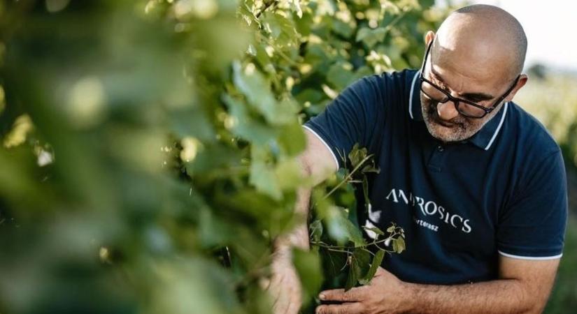 Somogyi borász elnököl a világ egyik legnagyobb borversenyén