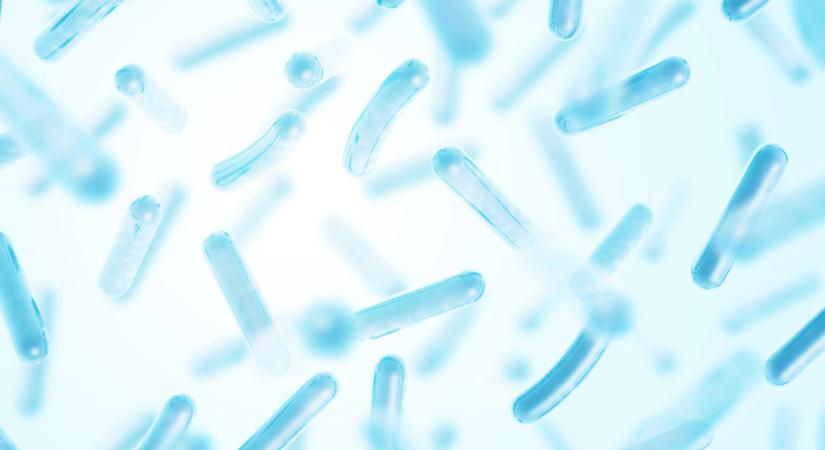 Nem azt tudta a Normaflore, amit ígértek? Súlyos bírságot szabott ki a GVH