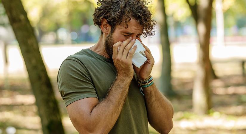 Tízszeres növekedés, mindenki erre keres rá a neten