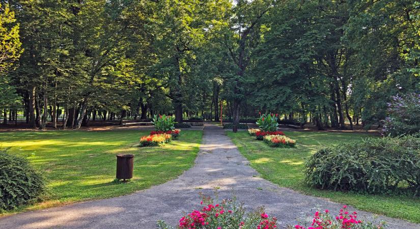 Inváziós fajok terjednek Magyarországon: beavatkozásra készülnek