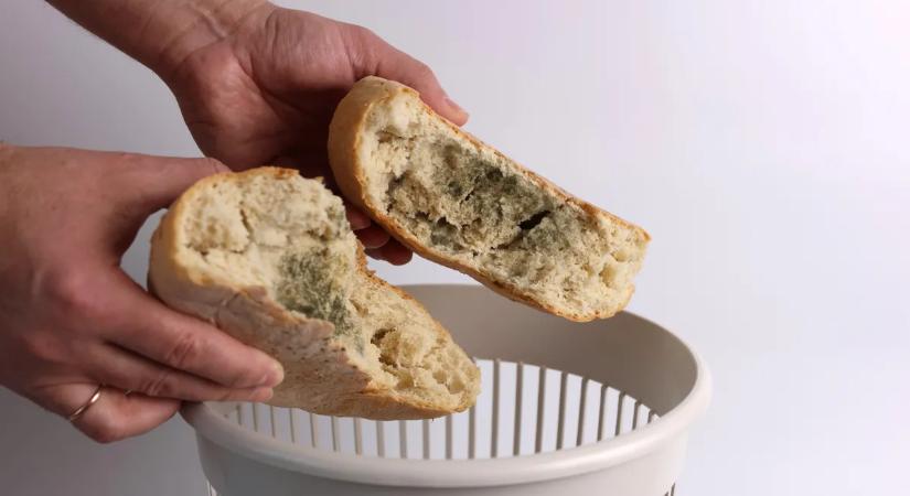 Penész veszély: mutatjuk mit ehetsz meg és mi az, amit azonnal dobj a kukába