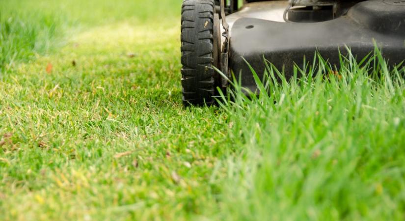 Kitavaszodott: mutatjuk, mikor érdemes már füvet nyírni, és mikor kell még inkább várni