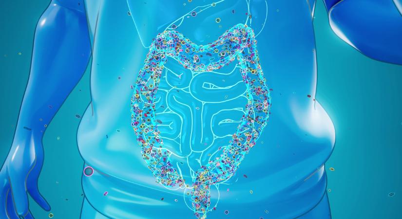 Miért növekedett meg a vastagbélrákos esetek száma a fiatalok körében? Íme a válasz!