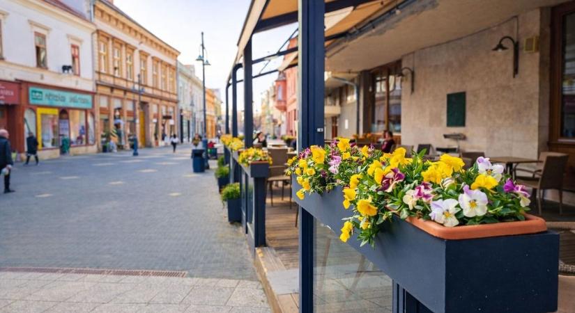 Alig várják már a színes virágokat Kaposváron