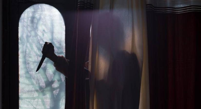 A horrorfarmra csak érkeztek férfiak, de nem távoztak – A sorozatgyilkos Belle Gunness, a női Kékszakáll története