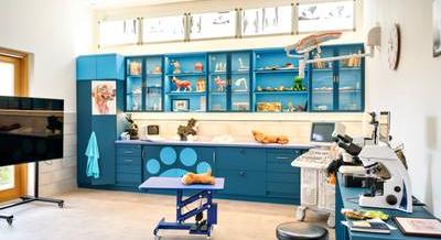 Újpesten nyílt meg az ország első állatvédelmi oktatóközpontja