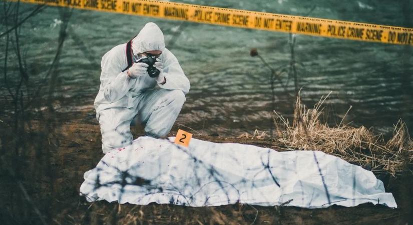 Holttestet találtak a 8-as főút mellett, megszólalt a rendőrség