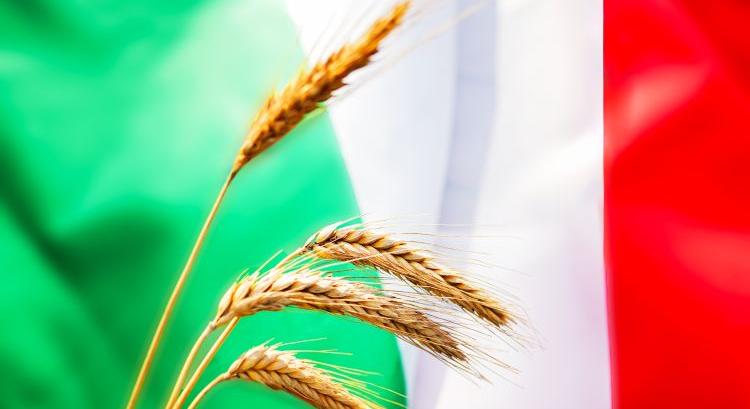 Az olaszok nem többet termelnek – többet keresnek vele