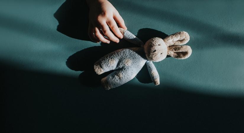 A TASZ jelenti: Szőlő utca, Fót és a többiek – a gyermekvédelemért felelősök kudarca